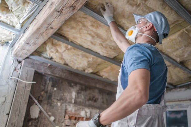 Insulation Repair Services in Riverdale Park, MD