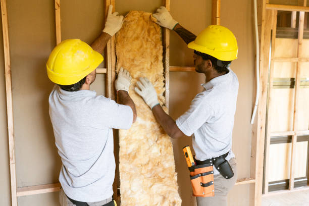 Best Home Insulation Services  in Riverdale Park, MD