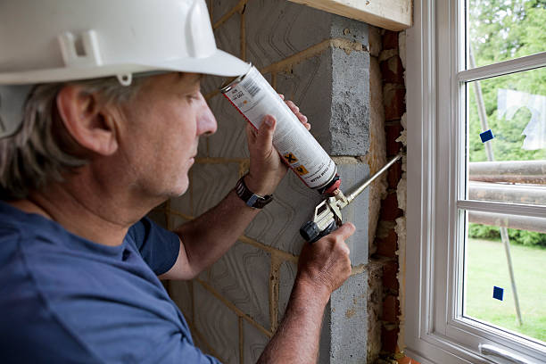 Best Insulation Inspection Services  in Riverdale Park, MD